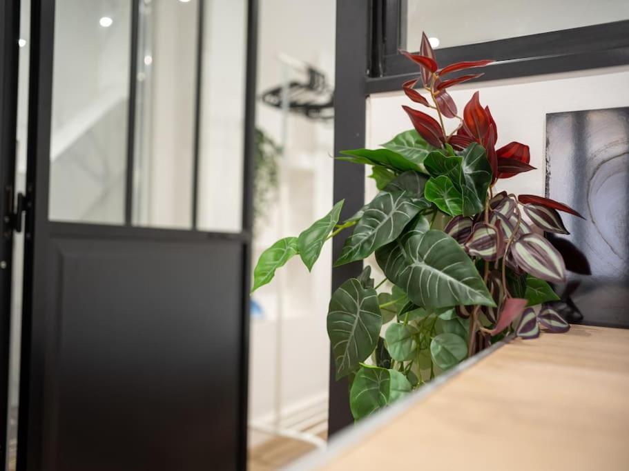 Appartement Tout Equipe Au Coeur Du Panier Vieux Port Marseilles Buitenkant foto